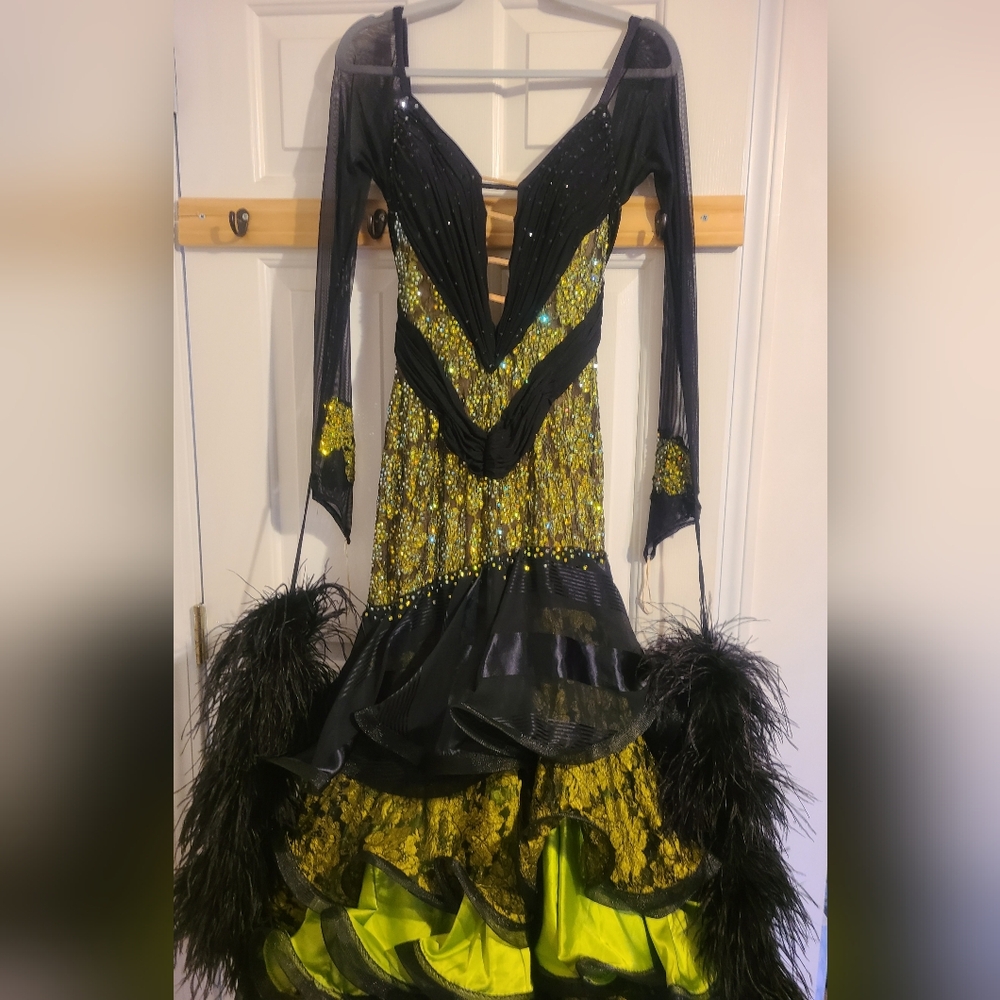 Gorgeous Standard Ballroom Dress